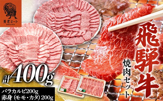 
                  飛騨牛 焼肉セット 400g 焼肉 BBQ 牛肉 和牛 肉 霜降り バラカルビ 赤身 モモ カタ 詰め合わせ ギフト 御祝 内祝 2人前 大容量 岐阜県 坂祝町 養老ミート F6M-393
                