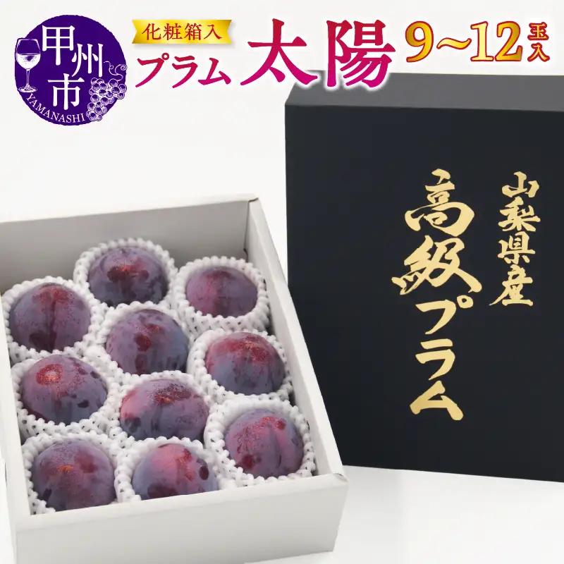 【宿沢フルーツ農園】プラム『太陽』（9～12玉）【2026年発送】（SF）B-194 すもも フルーツ