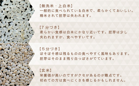 先行予約【令和8年産・新米】 ハナエチゼン 5kg～坂井市三国町産・こだわりの精米対応～（上白米） [A-0270_01]