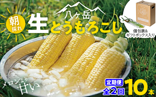 【発送月固定定期便】【先行受付】朝採れ 八ヶ岳生とうもろこし 10本全2回【配送不可地域：離島】