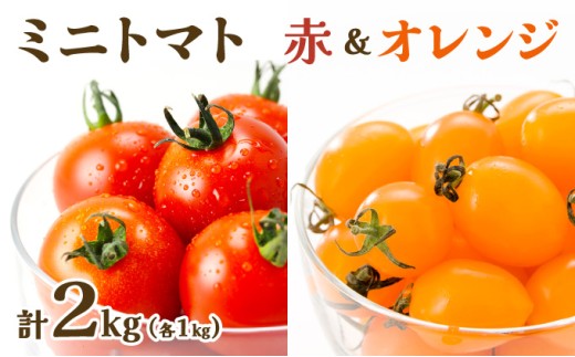 【先行販売】【ファーム雫】食べ比べセット　ミニトマト赤＆オレンジ計２kg【a127-005】 赤＆オレンジ