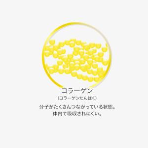 DHC コラーゲンビューティ 9000プラス　2ケース（30本）