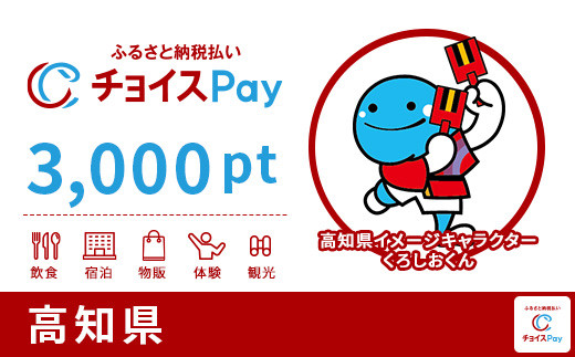 
高知県チョイスPay 3,000pt（1pt＝1円）【会員限定のお礼の品】
