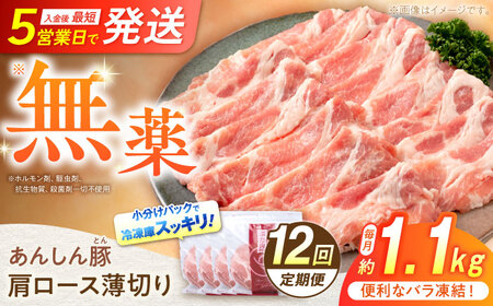 【12回定期便】豚肉肩ローススライス 計1.1kg 藤井ファーム[AWAF048]