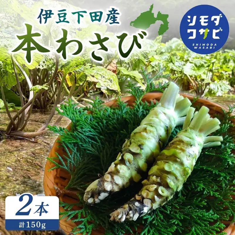 わさび 伊豆 下田 本わさび 2本 150g ワサビ