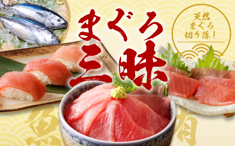 泉佐野セレクト 海鮮定期便 全4回 サーモン 天然まぐろ かつお 真鯛【毎月配送コース】 099Z161_イメージ4