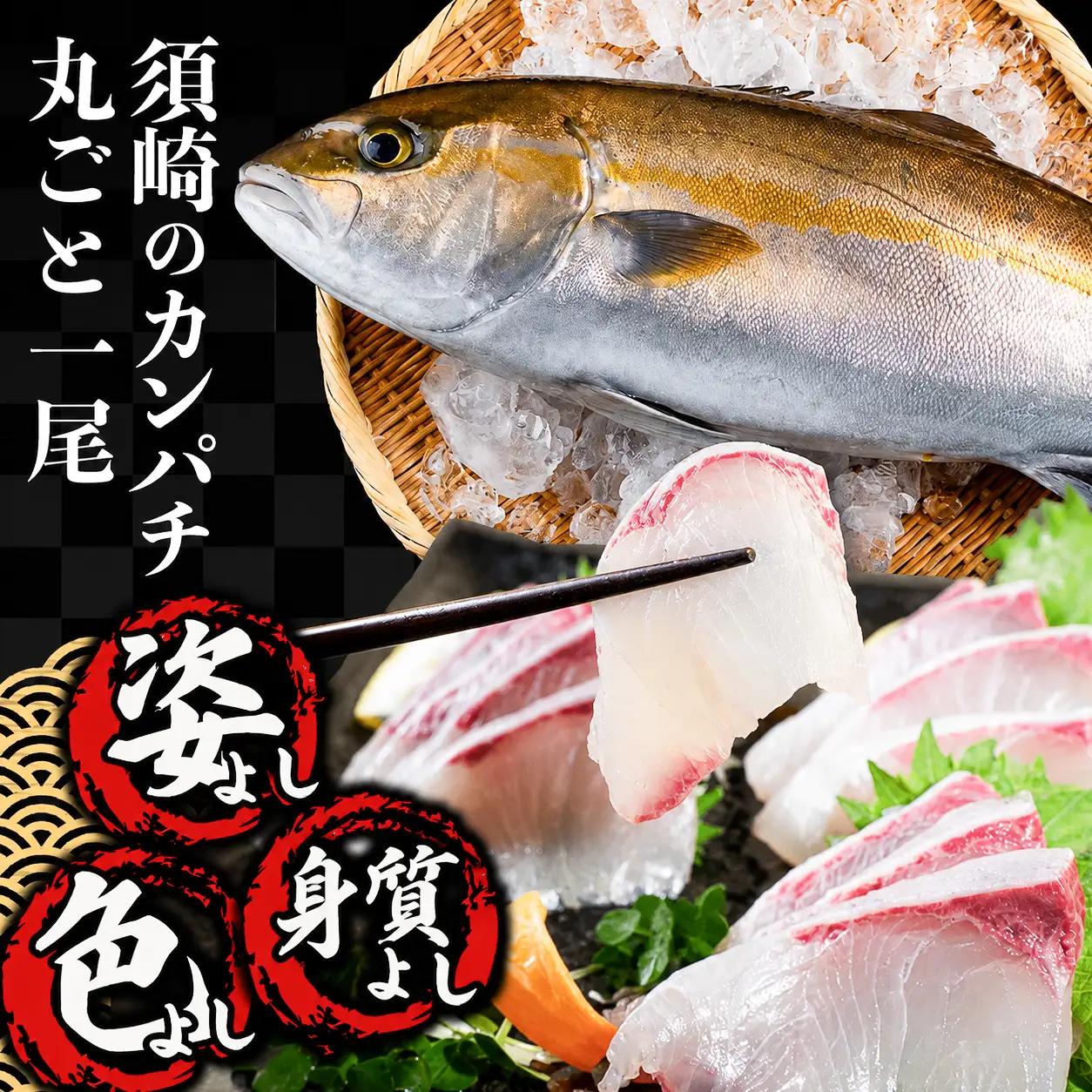 【カンパチ】カンパチ丸ごと１本（ラウンド）