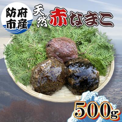 ふるさと納税 防府市 【先行受付】防府市産天然赤なまこ500g