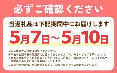 母の日限定！ カーネーション入り フラワーアレンジメントM ＆ バウムクーヘン (バウムッシュ) ギフトセット カラフル [B-20708_03]