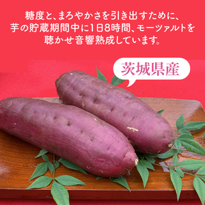 テレビでも紹介されました！道の駅でも人気！【モーツァルトを聞かせた干し芋】紅はるか平干し800g（200g×４）【ほしいも 干芋 平干し 熟成 自社農場 無添加 無着色 水戸市 水戸 茨城県】（AY-