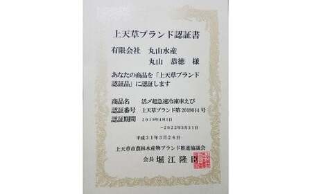 【10月上旬より順次発送予定】【上天草ブランド認証品】活き〆超急速冷凍車えび600g(約18～24尾)