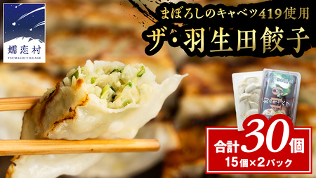 まぼろしのキャベツ419使用 ザ・羽生田餃子 15個 × 2パック 合計30個 大容量 [AL001tu]