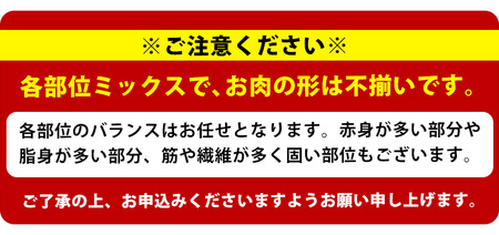 《訳あり》鹿児島県産 豚肉 切り落とし (計5kg・500g×10P) 【スターゼン】starzen-6076-10