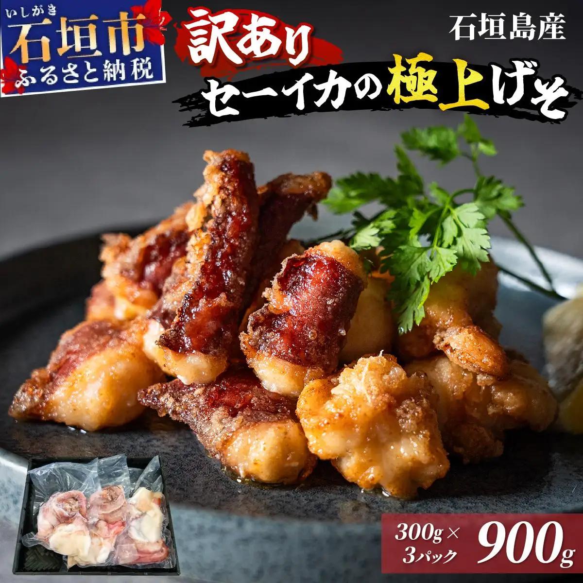 セーイカ げそ 300g×3パック 加熱用 石垣島産 ＜訳あり＞ 