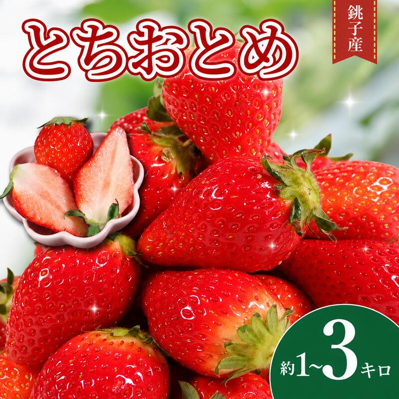【ふるさと納税】 いちご 苺 とちおとめ 約 1kg ~ 3kg 【 選べる容量 】 先行予約 ( 1パック 250g ) 産地直送 産直 ストロベリー 果物 くだもの フルーツ ジャム ケーキ いちご大福 苺大福 朝摘み 新鮮 送料無料 国産 千葉県 銚子市 神原いちご園 【2027年1月~5月上旬発送】