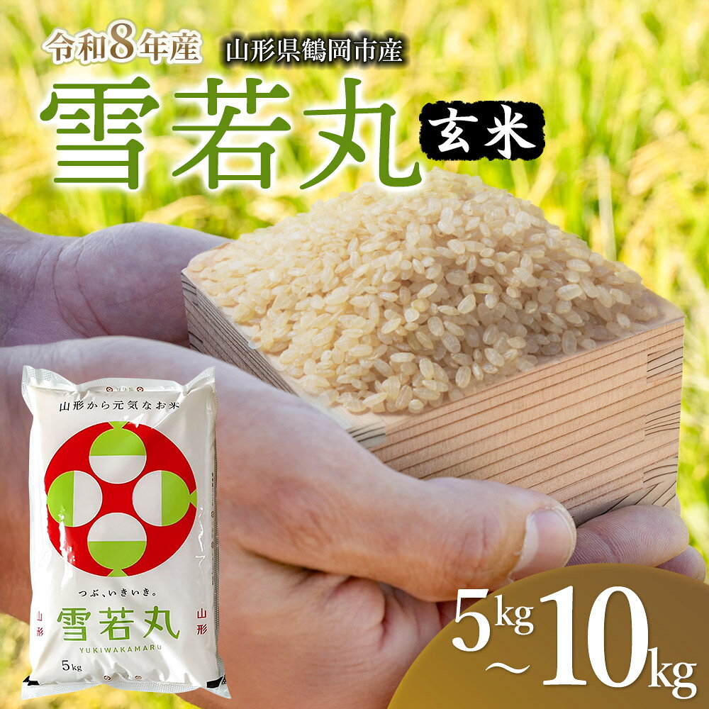【ふるさと納税】令和7年産　馬町さくらファームの雪若丸 玄米 ［選べる容量：5kg / 10kg(5kg×2袋)］ 山形県鶴岡市産 K-827 K-855 | お米 10キロ こめ ご飯 ごはん ブランド米 米どころ 庄内米 国産 美味しい お取り寄せ 農家直送 お弁当 おにぎり おすすめ 人気 返礼品