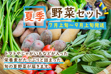 【オーガニック野菜／有機野菜 定期便】SORA農園有機野菜セット年2回 定期便 （夏季・冬季）お届け 野菜 オーガニック野菜 有機野菜 野菜 セット 野菜 詰め合わせ 定期便 野菜 定期便 冬野菜 夏