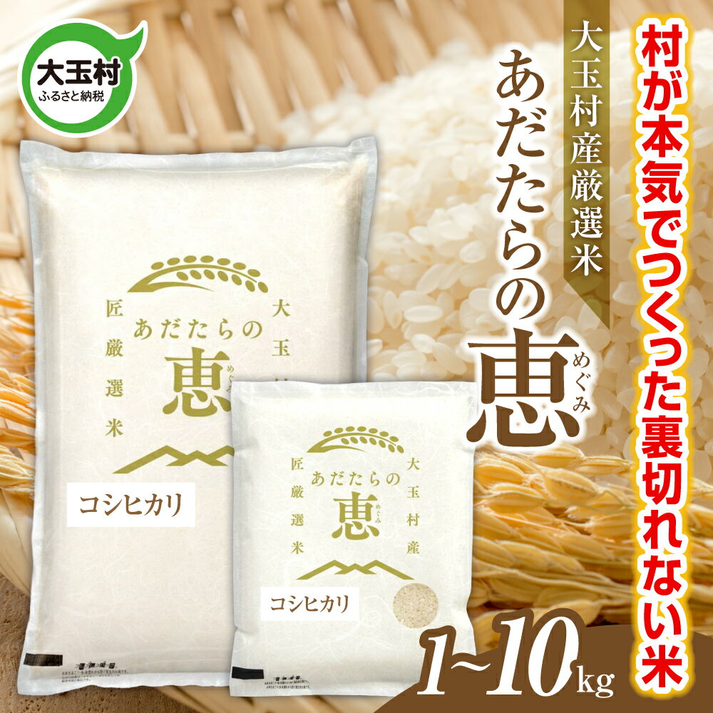 【ふるさと納税】 米 大玉村産厳選米「あだたらの恵」（品種：コシヒカリ） 1kg / 2kg / 3kg / 5kg /10kg 選べる容量 《 令和7年産 》｜ 福島 大玉村 お米 米作り こしひかり 令和7年 精米 白米 こめ コメ ご飯 送料無料 大玉村農業振興公社 ｜ on-ak-r7