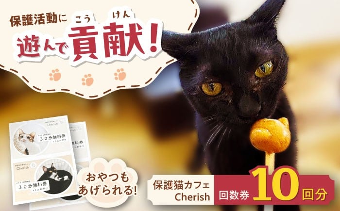
            Cherish猫カフェ 回数券（10回分） 猫 ねこ ネコ 保護猫 支援 動物愛護 応援 大阪府高槻市／特定非営利活動Cherish [AODU002]
          