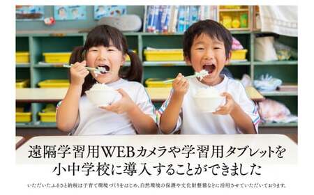 新米 米 毎月定期便 10kg×3回 はえぬき 玄米 配送開始時期選べる 令和7年産 2025年産 山形県尾花沢市産 送料無料 ja-hagxa10_tm
