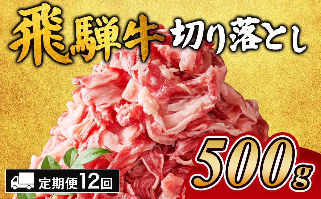 【12ヵ月定期便】飛騨牛切り落とし 500g｜牛肉 和牛 国産 瑞穂市 岐阜県 ※離島への配送不可