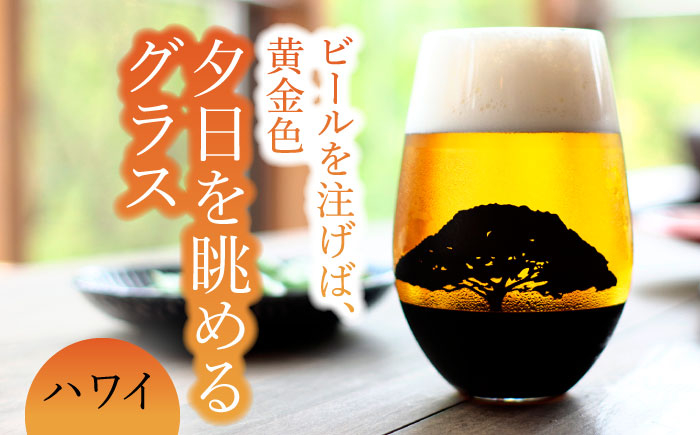 
夕日を眺める グラス『ハワイ』【丸モ高木陶器】 ビールグラス 酒器 贈答 [TBA158]
