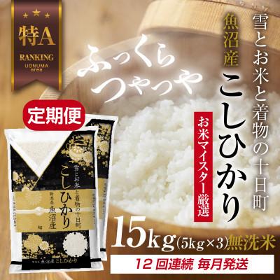 ふるさと納税 十日町市 【毎月定期便】[無洗米]魚沼産 コシヒカリ 15kg 精米 (お米の美味しい炊き方ガイド付)全12回