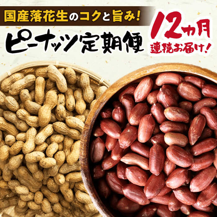 【毎月(全12回)お届け】 ピーナツ 定期便 3 大村市 浦川豆店