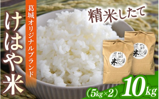 【先行受付】令和7年度産新米 けはや米 精米 10kg(5kg×2袋） ／ 米 お米 白米 新米 精米 ひのひかり ヒノヒカリ 葛城市商工会青年部 奈良県 葛城市【nkss004】