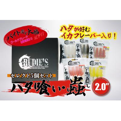 ふるさと納税 飯塚市 RUDIE’Sのハタ喰い・蟲 2.0inch セレクト5個セット