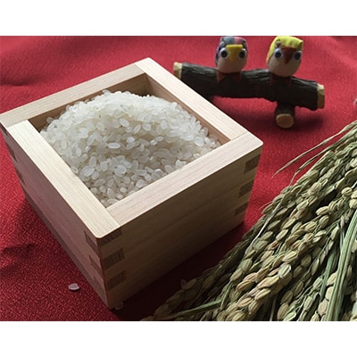2024年2月発送開始『定期便』【無洗米】奈良県大和高田市産ヒノヒカリ5kg×2計10kg 全6回