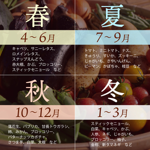 お野菜 6～7品 詰め合わせセット 富士山の湧水でつくる 四季の美味しい 旬 野菜