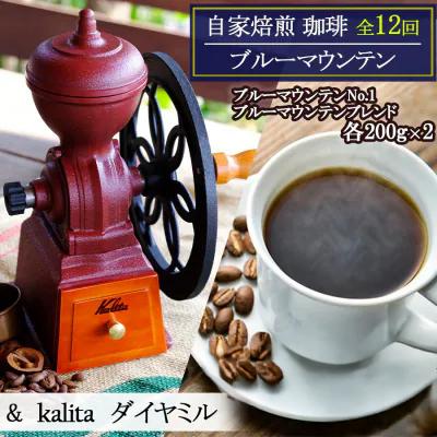 ふるさと納税 小郡市 定期便 12回 自家焙煎ブルーマウンテン 12ヶ月&amp;ダイヤミル[No5354-2170]