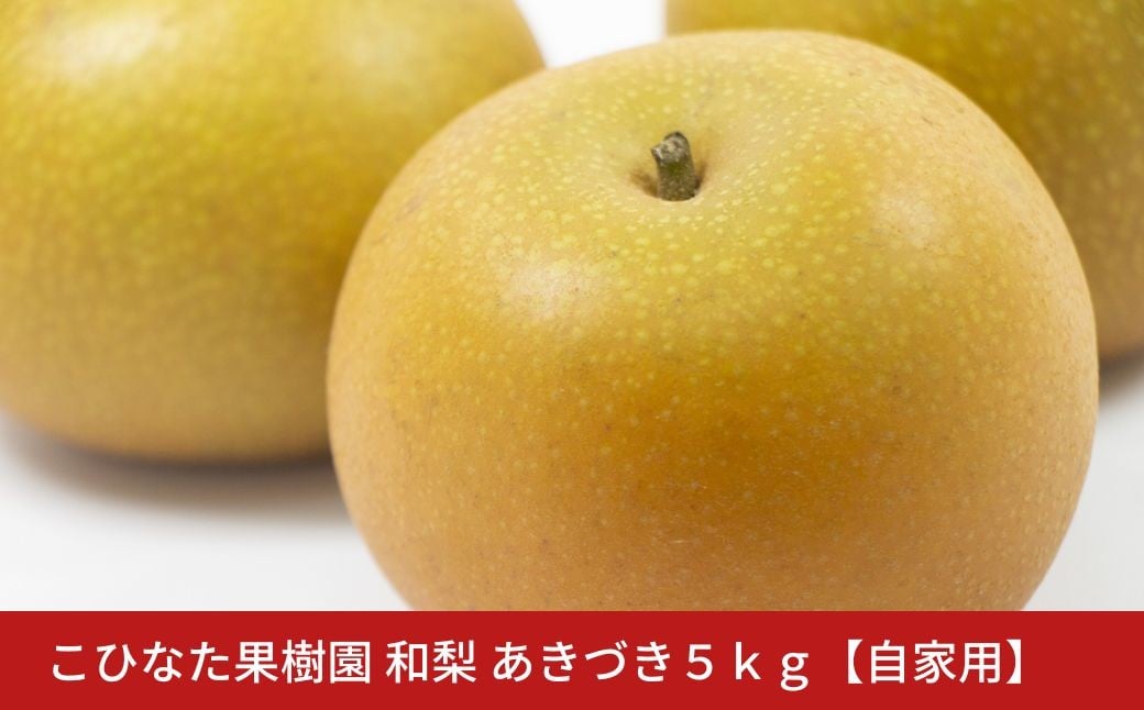 
            ＊先行予約＊ 自家用 あきづき ５kg [2026年発送分] 令和８年産 和梨 新潟 三条 燕三条 果物  [こひなた果樹園] 【010S801】
          