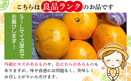 ＜木下さんちのみかん 良品 約10kg（S～Lサイズ混合）＞柑橘類 温州みかん ミカン 果物 くだもの フルーツ 特産品 木下農園 西宇和 愛媛県 西予市【常温】『2026年11月中旬〜12月下旬に順