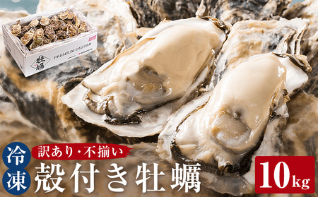 ＜訳あり＞ 冷凍 殻付き牡蠣 10kg 不揃い 加熱用 三陸産