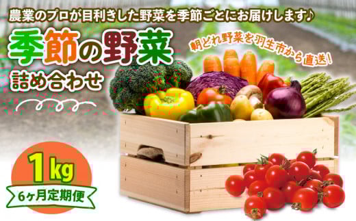 定期便 季節 野菜 詰め合わせ 1kg 6ヶ月 連続お届け 果物 産地直送 朝どれ フルーツトマト ほうれんそう 白菜 キャベツ ブロッコリー そら豆 ヤングコーン とうもろこし 枝豆 ピーマン 唐辛子 パプリカ 水 ナス オクラ キュウリ カリフローレ とれたて  濃厚 ごほうびとまと 株式会社風の子ファーム 埼玉県 羽生市