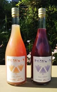 【New】幸田町産 ぶどう使用 100％ジュース 2種 詰め合わせ 無添加 無糖 無加水 ぶどうジュース