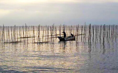 走水 海苔 上 3帖 10枚×3 焼き のり 焼海苔 国産 ご飯のお供 【 横須賀市 】