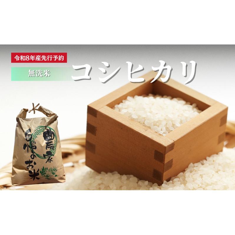 【先行予約】無洗米 令和8年産 コシヒカリ 10kg【 お米 米 コメ 精米 南丹市 】