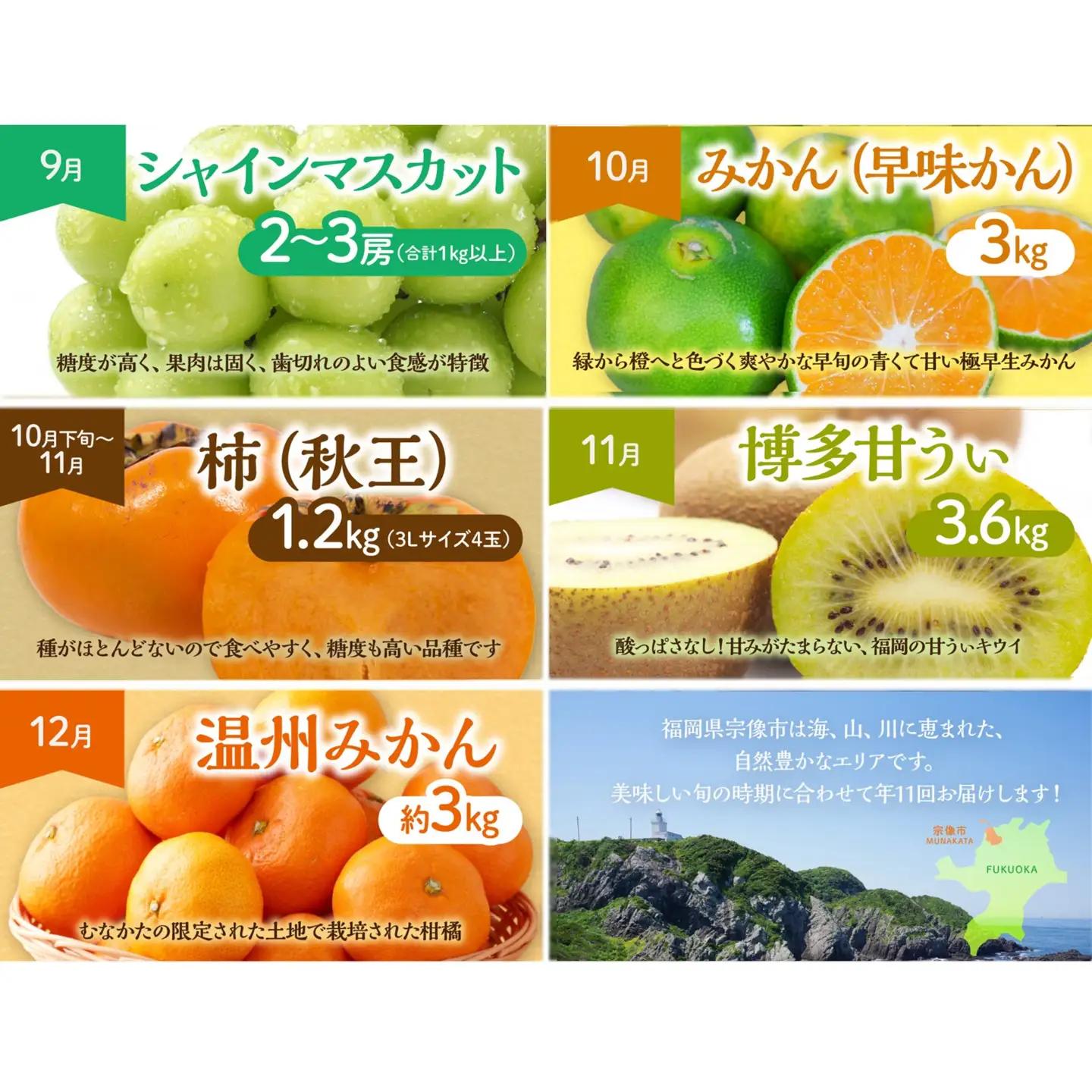 【定期便/年11回】フルーツ JAむなかた厳選！旬のフルーツ定期便 _HB0171