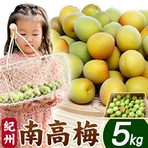 【ふるさと納税】梅 南高梅 紀州南高梅 約5kg GREEN JUNCTION株式会社《2025年5月末-2025年8月上旬頃出荷》和歌山県 紀の川市 梅干し 梅酒 梅干 梅シロップ 梅ジャム 自然栽培 送料無料