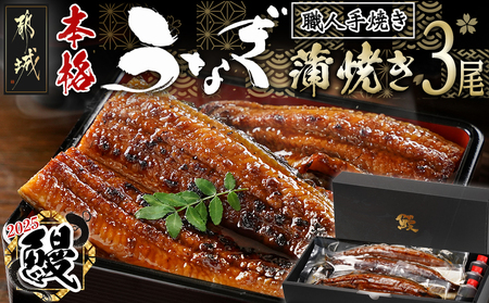 【丑の日】職人手焼きの本格うなぎ蒲焼き3尾≪7月10日～18日お届け≫_AC-3301-UG_(都城市) 鰻 丑の日