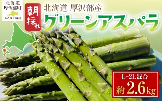 北海道厚沢部町産 グリーンアスパラ L～2L混合 約2.6kg 【 ふるさと納税 人気 おすすめ ランキング アスパラガス グリーンアスパラ アスパラ 新鮮 肉巻き ベーコン巻き 茹でアスパラ 北海道 厚沢部 送料無料 】 ASG080