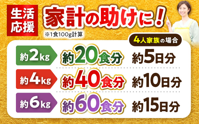 瀬戸豚 カタバラ切落し 4kg / 豚肉 小分け 切り落とし / 瀬戸市 / 関屋精肉店 [BBBQ155] 4kg