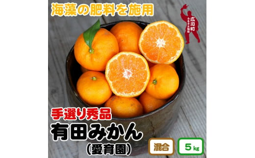 ▼海藻施用有田みかん 手選果 ５kg ※2024年11月下旬～2025年1月中旬頃に順次発送予定 【aii004-r-5】