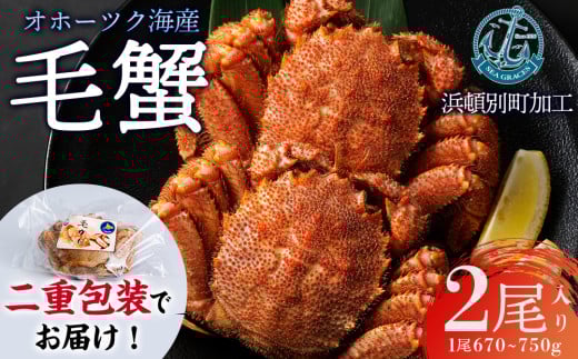 【数量限定】北海道産 毛がに 2尾 (１尾670g～750g)【株式会社シーグレイセス】浜頓別 塩茹で カニ
