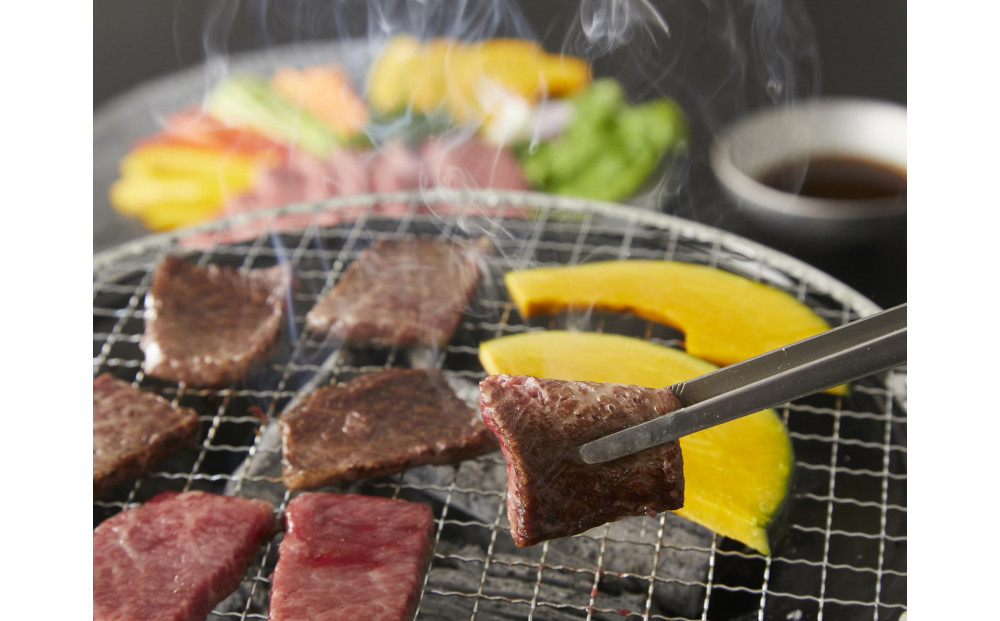 神戸牛 焼肉用 厚切り落とし  500g (BBQ 不揃い 切り落し 訳あり)