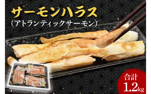 
サーモン ハラス 1.2kg(200ｇ×6p) アトランティックサーモン 鮭 鮭はらす 大洗町 大洗 魚 さかな 魚介類 冷凍 工場直送 おかず おつまみ
