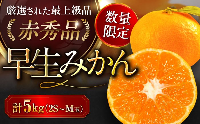 
            【先行予約】【11月中旬から順次発送】 早生みかん 5kg 箱 2S～Mサイズ 50玉～80玉 赤秀 期間限定 数量限定 みかん 愛媛みかん 柑橘 果物 フルーツ みかんジュース ミカン 早生みかん 愛媛県大洲市/愛媛たいき農業協同組合[AGAO005]
          